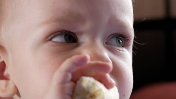 Um menino atraente de 2 anos come uma banana. Senta-se à mesa em casa. Cuidadosamente assistindo desenhos animados na TV . — Vídeo de Stock