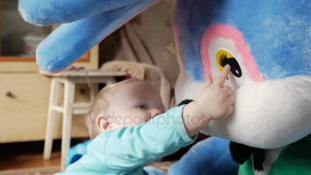 Ένα όμορφο αγόρι 2 ετών παίζει με μια τεράστια βελούδινα κουνέλι στο σπίτι. Το παιδί δείχνει τα μάτια και αγγίζει τα αυτιά — Αρχείο Βίντεο