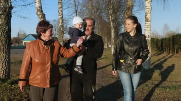 大家族は夕暮れの道の近くの公園で歩きます。祖母と祖父は、孫と娘の話 — ストック動画