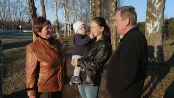 Une grande famille se promène dans le parc près de la route au coucher du soleil. Grand-mère et grand-père discutent avec leur petit-fils et leur fille — Video