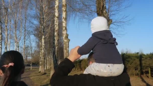 O garoto se senta no pescoço de seus avós e eles caminham no parque ao pôr-do-sol. A minha neta gosta de montar um homem. . — Vídeo de Stock