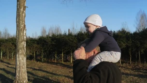A gyerek ül a nagyapák nyakán, és séta a parkban a naplemente. Unokámat szeret lovagolni egy ember. — Stock videók