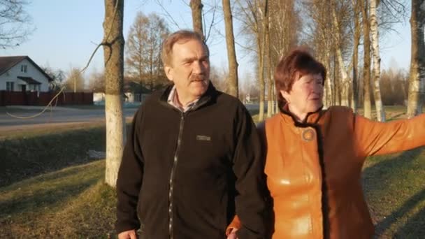 Loving äldre par promenader i parken vid solnedgången. I närheten finns är en väg. En kvinna i en brun skinnjacka. Mannen är klädd i en svart tröja. — Stockvideo