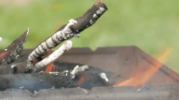 Uhlí pro grilování jsou zahřívány v kovovém obalu. Vaření potravin na ulici v létě. — Stock video