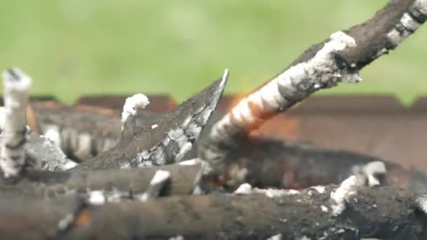 Les charbons pour barbecue sont chauffés dans un récipient métallique. Cuisiner la nourriture dans la rue en été .