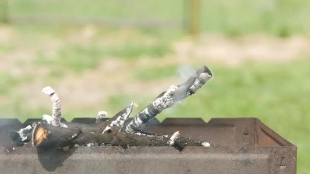 Węgle do grilla są ogrzewane w metalowym pojemniku. Gotowanie jedzenie na ulicy, w lecie. — Wideo stockowe