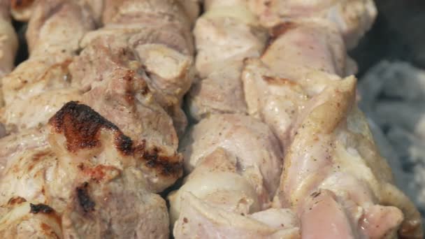 Προετοιμασία του κρέατος στα κάρβουνα στο δρόμο. Κοτόπουλο και χοιρινό κρέας κρεμασμένο σε μεταλλικές ακίδες. Μετακίνηση κάμερα — Αρχείο Βίντεο