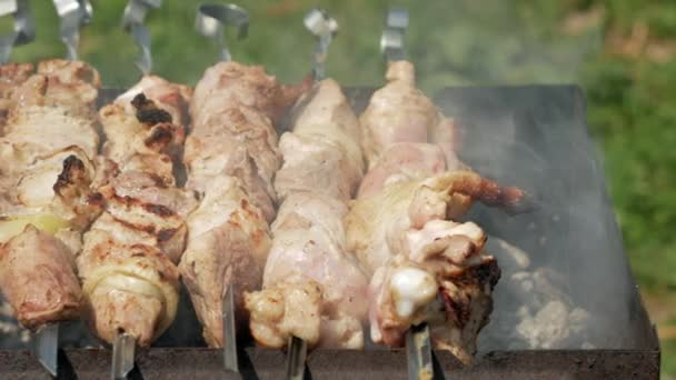 Bereiding van vlees op houtskool in de straat. Kip en varkensvlees worden geregen op metalen pennen. Bewegende camera — Stockvideo