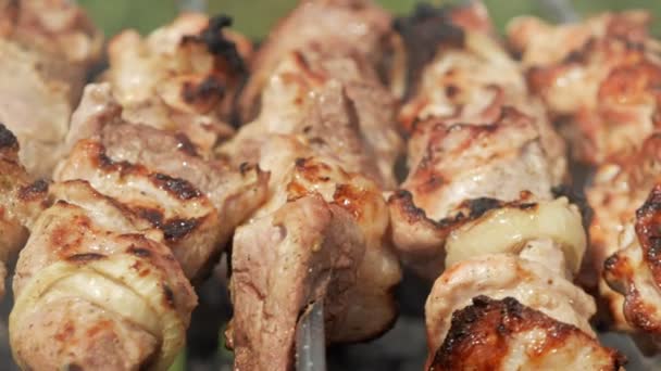 Préparation de viande sur charbon de bois dans la rue. Le poulet et le porc sont accrochés à des épingles en métal. Caméra mobile — Video