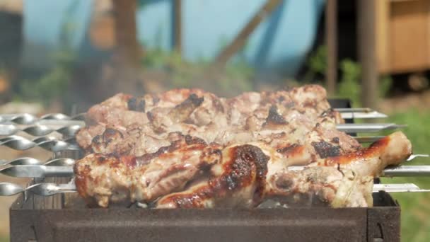 Zubereitung von Fleisch auf Holzkohle auf der Straße. Hühner- und Schweinefleisch sind an Metallstiften aufgereiht. bewegliche Kamera — Stockvideo