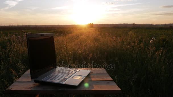 Ноутбук лежить у прекрасному полі рослин на заході сонця. Переміщення камери — стокове відео