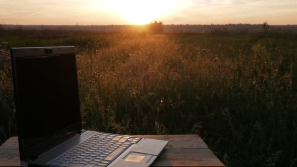 Laptop znajduje się w pięknym polu roślin o zachodzie słońca. Ruchome kamery — Wideo stockowe