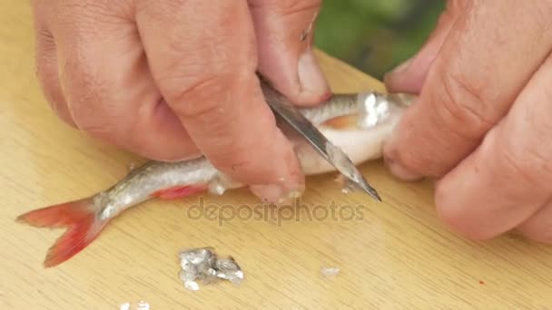 Літній рибалка чистить невелику рибу. Готує страву для сім'ї — стокове відео