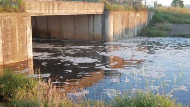 Пена на воде после небольшой гидроэлектростанции. Вода проходит через бетонную плотину — стоковое видео