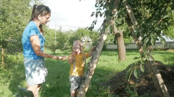 Um menino bonito com sua mãe perto da cerejeira. Uma mulher tira pedras e dá bagas ao filho. . — Vídeo de Stock