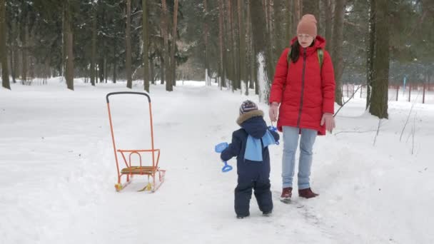 Χαριτωμένο μικρό αγόρι και γηρατειά μητέρα παίζουν το χειμώνα με το χιόνι στο πάρκο. Σακάκι μπλε kids και κόκκινο στην μαμα. — Αρχείο Βίντεο