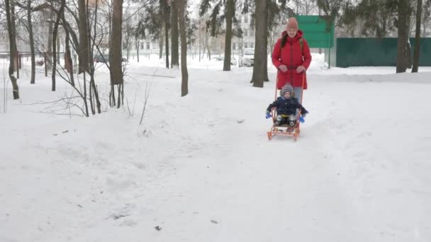 Lindo niño y madre joven juegan en el invierno con nieve en el parque. Azul niños chaqueta y rojo en mamá . — Vídeos de Stock