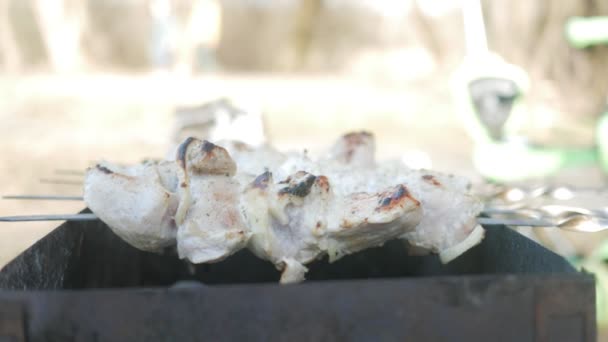 Κοτόπουλο κρέας μαγειρεύεται στην πυρκαγιά στο δρόμο. Υπάρχει ένας καπνός από κάρβουνα — Αρχείο Βίντεο