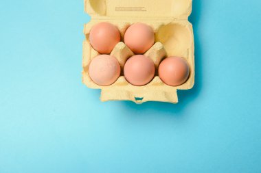 Tavuk yumurta açılan kutusunun görünümü