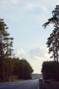 Asfalt yol Üstten Görünüm