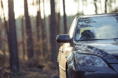 Ormanın yanındaki park edilmiş araba