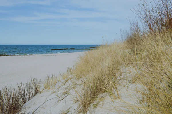 Солнечный пляж с песчаными дюнами — стоковое фото