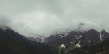 Yaz dağları yeşil çimenler ve mavi gökyüzü manzarası
