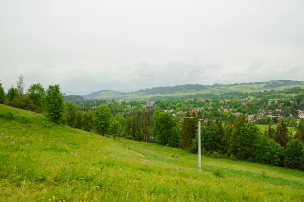 Feld von Frühlingsgras und Berg — Stockfoto