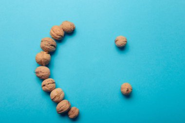 Ceviz, ceviz yakın çekim, mavi zemin üzerine ceviz,