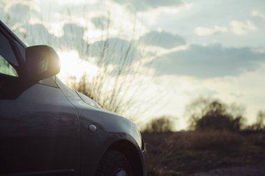 Ormanın yanındaki park edilmiş araba
