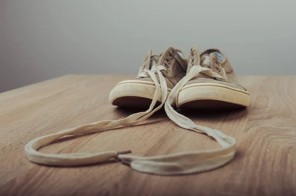 Zapatillas de deporte encantadora marrón —  Fotos de Stock