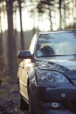 Ormanın yanındaki park edilmiş araba