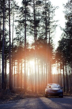 Ormanın yanındaki park edilmiş araba