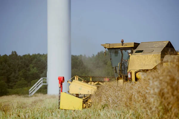 Kombinovat, sklizeň řepky pole — Stock fotografie