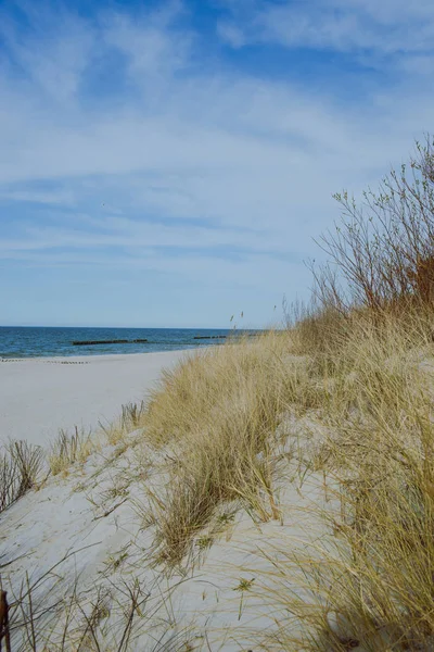 Sunny beach med sanddyner — Stockfoto