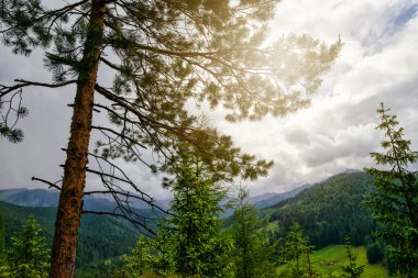 dağ kurtarma helikopteri
