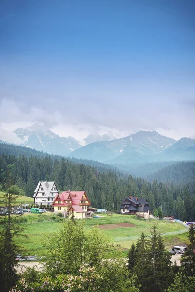 Красивый пейзаж горы с легким туманом — стоковое фото