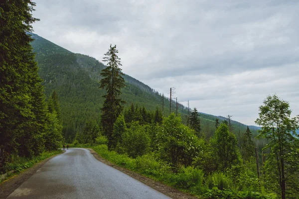 Camino de asfalto en la montaña — Foto de Stock