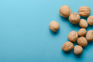 Ceviz, ceviz yakın çekim, mavi zemin üzerine ceviz,