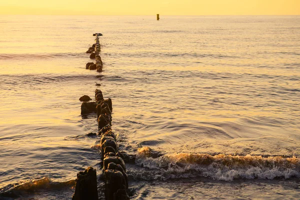 Günbatımı üzerinde Baltık Denizi'ndeki dalgakıranlar — Stok fotoğraf