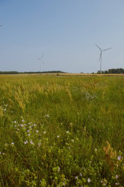 Güneşli bir gün, Windturbine
