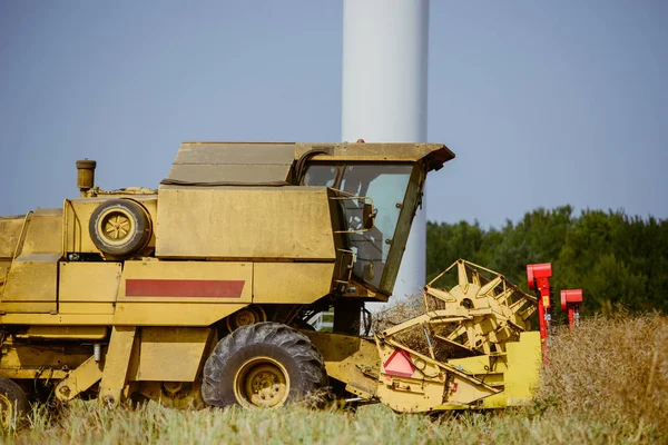 Combine harvesting the rape field — Stock Photo, Image