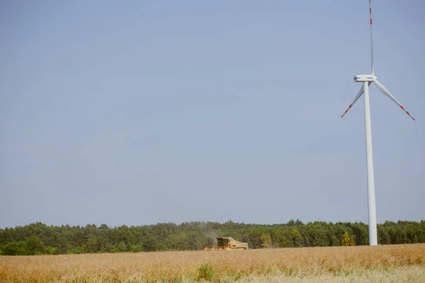 Ветряная турбина в солнечный день — стоковое фото