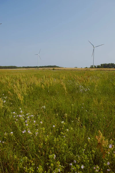 Windturbine at sunny day — Stock Photo, Image