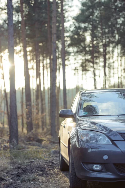 Coche aparcado junto al bosque — Foto de Stock