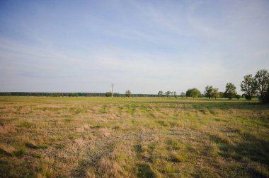 Bahar doğal çayır