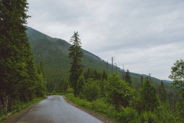 dağ asfalt yol