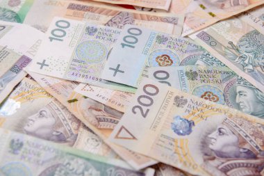 Banknot ve madeni paraların, Polonya Zlotisi