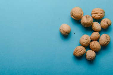 Ceviz, ceviz yakın çekim, mavi zemin üzerine ceviz,