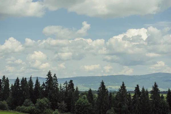 Verão montanhas verde grama e azul céu paisagem — Fotografia de Stock